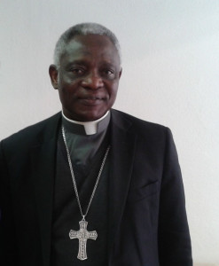 Cardinal Peter Turkson, Préfet du Dicastère pour le service du développement humain intégral